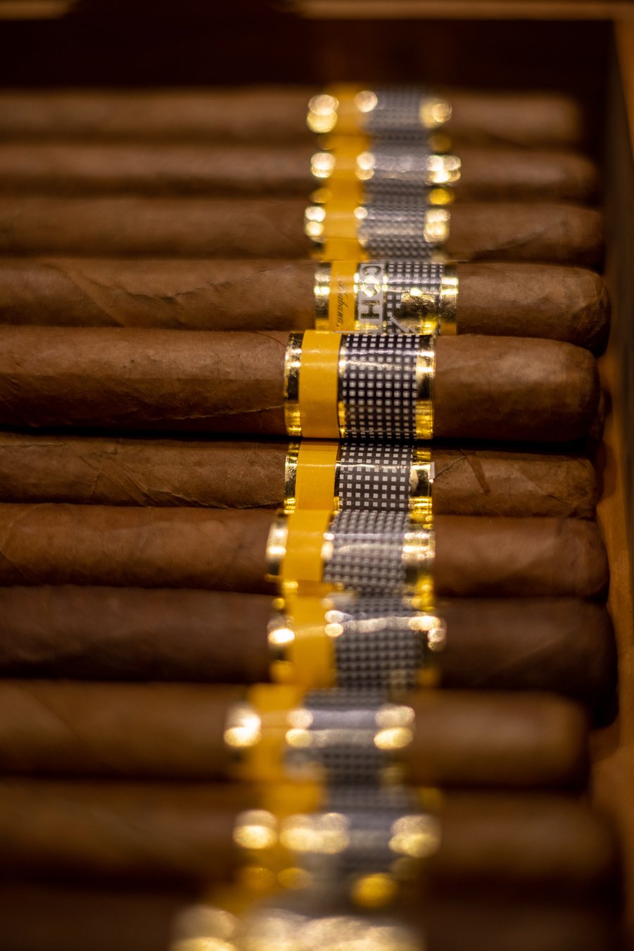 Bunch of Cigar in a Case